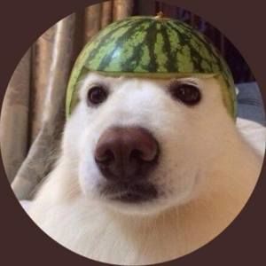 Meet your Posher, Dominik